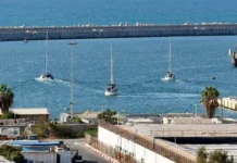 Flotilla, liberi i parlamentari italiani fermati in Israele: oggi il rientro Flottilla