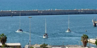 Flotilla, liberi i parlamentari italiani fermati in Israele: oggi il rientro Flottilla