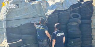 Sequestrate tonnellate di rifiuti, 4 strutture abusive e un’area di 14.000 mq: un denunciato nel Marchigiano