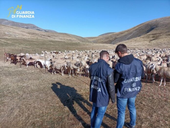 guardia di finanza frode agricola