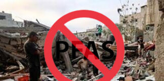 PFAS e bombe: il CoVePA sostiene i manifestanti per Gaza e sottolinea il ruolo degli inquinanti eterni nelle tecnologie di guerra  covepa pfas gaza