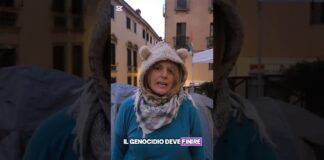 Flotilla, presidio a Vicenza. In Piazza delle Biade “l’equipaggio di terra per Gaza e per l’umanità” Global Sumud Flotilla: solidarietà da Vicenza
