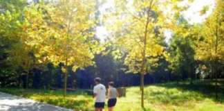 Ottobrata alla massima potenza, nel weekend fino a 27°C da Nord a Sud Ottobrata