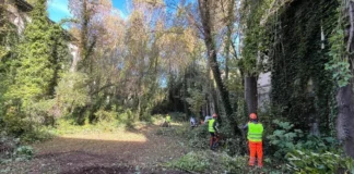 Vicenza, il Comune: “Partono i lavori del nuovo Giardino di San Biagio” san biagio vicenza giardini