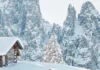 Vicenza e la montagna, al via la XVII edizione tra cinema, libri e grandi carnivori festival Vicenza e la montagna