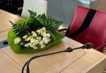 Vicenza: avviso per la Giornata contro la violenza sulle donne, ritratti femminili e il festival “Vicenza e la montagna” vicenza