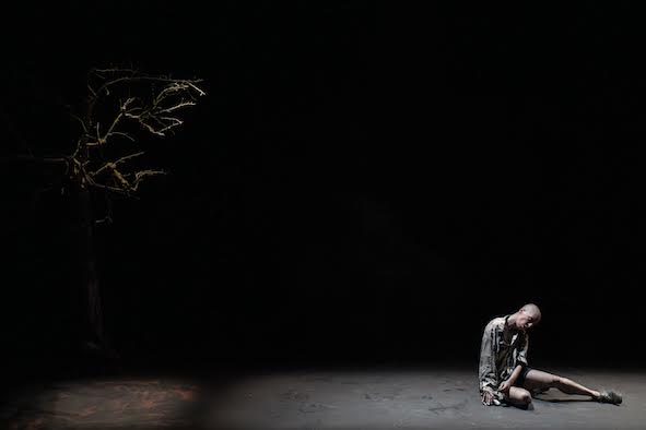 voodoo vicenza teatro Astra voodoo vicenza teatro Astra