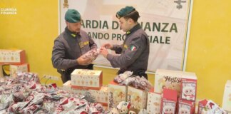 Sequestrati a Genova device Apple, Labubu e abbigliamento di noti marchi falsi / Video