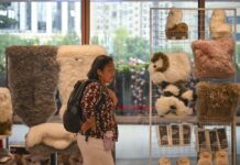 Cina: la CIIE Bazar City Arena a Shanghai (2)