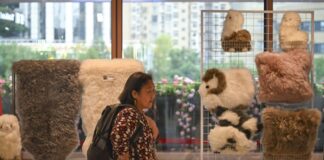 Cina: la CIIE Bazar City Arena a Shanghai (2)