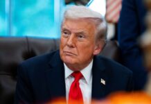 L’onda blu e l’incubo supremo: Trump perde voti e il castello dei dazi trema