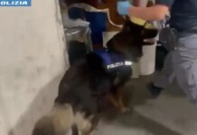 Arrestato spacciatore catanese con 4,5 kg di droga nascosta in garage