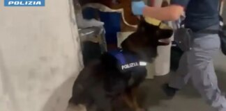 Arrestato spacciatore catanese con 4,5 kg di droga nascosta in garage