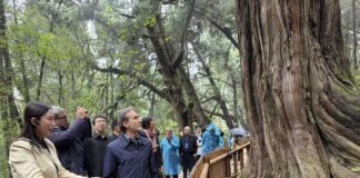 Cina-Italia: Strada per Shu e Via Appia, dialogo tra civiltà attraverso montagne e mari