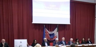 CAR-T, un nuovo paradigma nel trattamento dei tumori