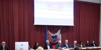 CAR-T, un nuovo paradigma nel trattamento dei tumori