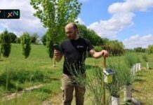 3Bee: decennale e obiettivi 2030 per la rigenerazione della biodiversità