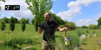 3Bee: decennale e obiettivi 2030 per la rigenerazione della biodiversità