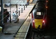 Accoltellamento sul treno, 10 feriti a Huntingdon: nove sono gravi. Indaga anche antiterrorismo