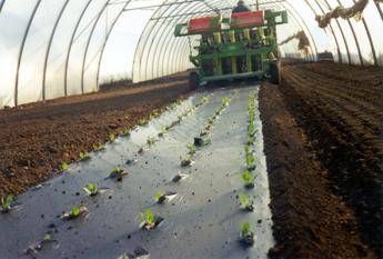 Agricoltura: telo Mater-Bi ammendante inorganico secondo Regolamento Ue