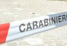 Anziano investito e ucciso nel Torinese, si costituisce ragazza di 21 anni che era fuggita