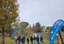 Arcugnano, 1400 nuove piante per l’iniziativa Bosco Insieme di Bvr Banca Veneto Centrale bosco insieme arcugnano