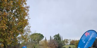 Arcugnano, 1400 nuove piante per l’iniziativa Bosco Insieme di Bvr Banca Veneto Centrale bosco insieme arcugnano