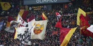 Calcio, come si diventa tifosi: così cambia il cervello durante una partita