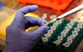 Cancro al polmone, studio italiano scopre meccanismo di resistenza all’immunoterapia