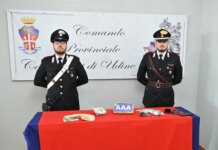 In auto con cocaina e armi, tentano la fuga al posto di blocco: due arresti a Udine