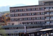 Corno di una capra gli perfora occhio e cranio, uomo salvato a Messina