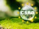 I revisori della sostenibilità ambientale, la Corporate Sustainability Reporting Directive (CSRD) oltre l’ESG Corporate Sustainability Reporting Directive - CSRD