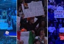 Da “San Sinner” a “Sindaco di Torino”, è Jannik-mania alle Atp Finals. E in tribuna spunta… una volpe