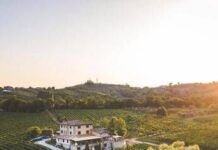 Destination wedding, quasi 1 mld euro fatturato nozze di stranieri nel 2024 e ulteriore crescita nel 2025