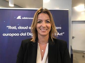 Digitale, Pizzi (Anitec-Assinform): “Dna semplifichi norme e non le appesantisca”