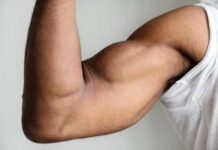 Ecco perché i muscoli invecchiano, lo studio italiano svela il ruolo dei perossisomi