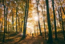 Estate di San Martino con l’alta pressione africana, temperature di 10 gradi oltre la media