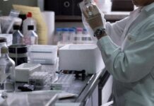 Farmaci, da studi dati promettenti su nuova pillola anti-colesterolo