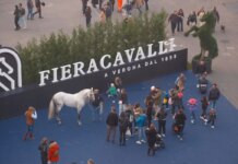Fieracavalli a Verona, Regione Veneto presente con il proprio stand e una serie di appuntamenti