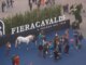 Fieracavalli a Verona, Regione Veneto presente con il proprio stand e una serie di appuntamenti