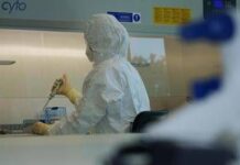 Giappone, Tokyo costruisce resilienza climatica con Ia e impegno dei cittadini