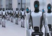 Il primo esercito di robot, l’annuncio dalla Cina