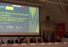 Imprese: Grins, strumenti e strategie per la transizione verde