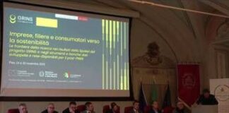 Imprese: Grins, strumenti e strategie per la transizione verde