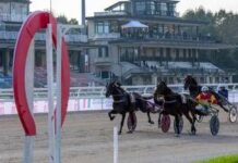 Ippica, Stoppini (Snai): “L”Orsi Mangelli’ torna a Milano, a San Siro il grande trotto”