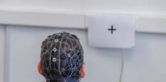 L’ASI e la ricerca sugli effetti della microgravità simulata