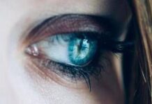 La dieta aiuta anche gli occhi, i cibi per proteggere la vista