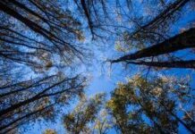 L’estate di San Martino non delude, stop alla pioggia arrivano beltempo e temperature miti