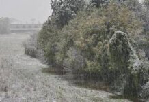 Neve e gelo polare, inverno è in anticipo