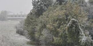 Neve e gelo polare, inverno è in anticipo